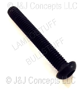 Black Stainless Steel Screw M6