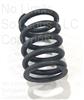 Valve Spring