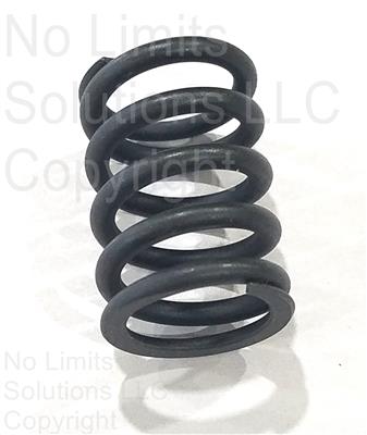 Valve Spring