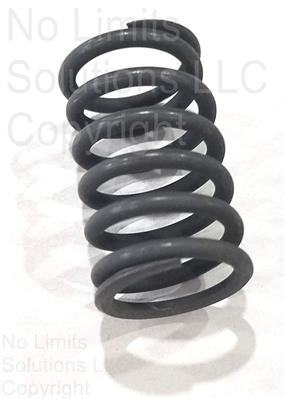 Inner Valve Spring